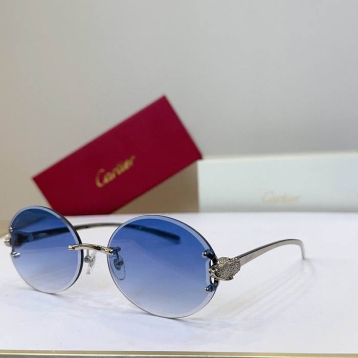 CTR Sunglasses AAA-731