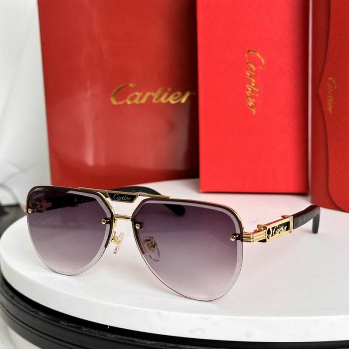 CTR Sunglasses AAA-720