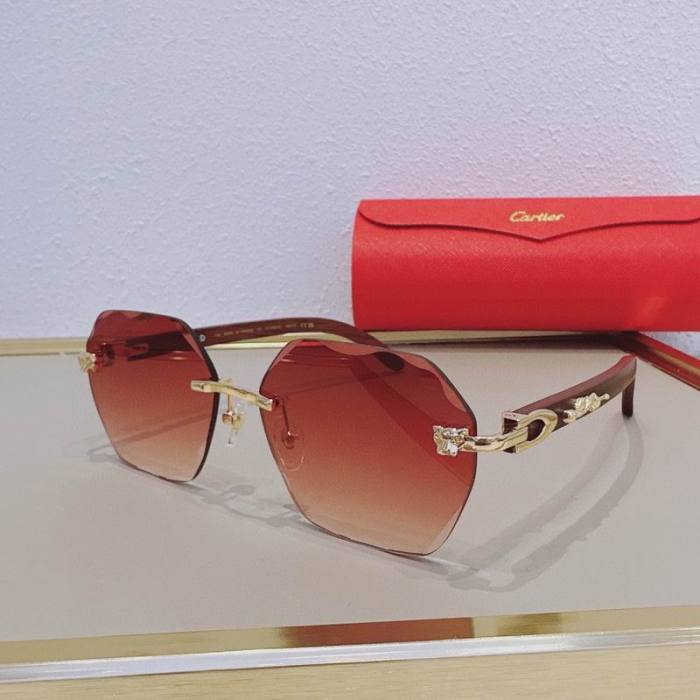 CTR Sunglasses AAA-747