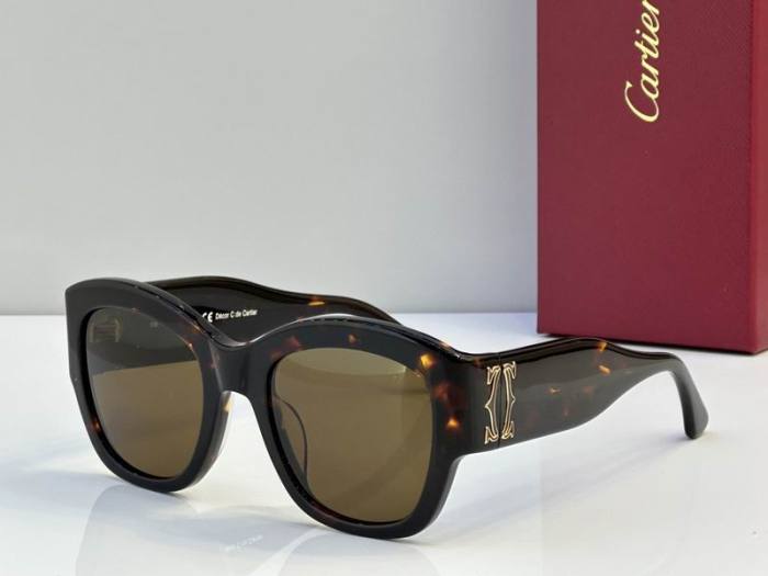 CTR Sunglasses AAA-718