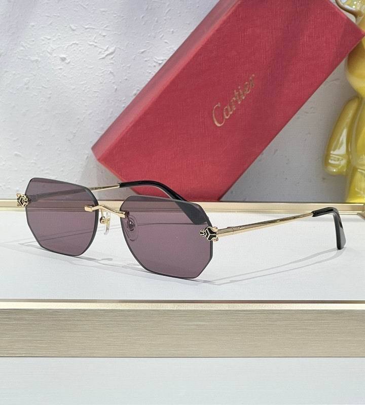 CTR Sunglasses AAA-751