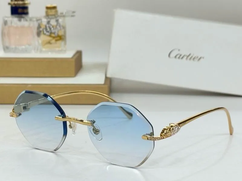 CTR Sunglasses AAA-716