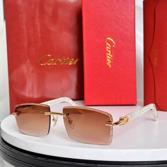 CTR Sunglasses AAA-706