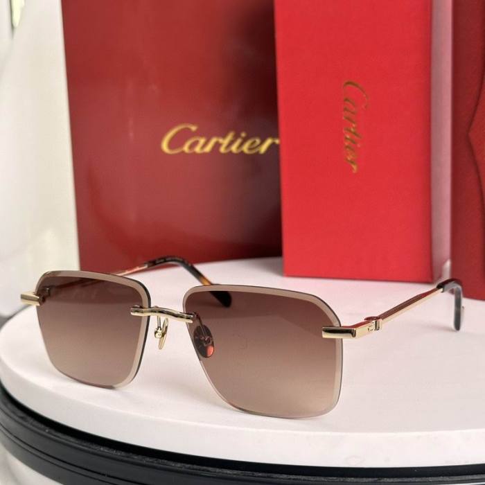 CTR Sunglasses AAA-711
