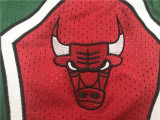 Retro 08 09 Chicago Bulls Basketball Stitched Shorts Green