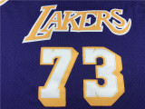 Popular Dennis Rodman #73 Los Angeles Lakers Basketball Jersey Lakers Rodman Purple