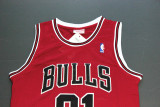 Retro Popular Dennis Rodman #91 Chicago Bulls Basketball Jersey 