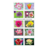 'Garden Beauty' Forever Postage Stamps, Full Booklet of 100