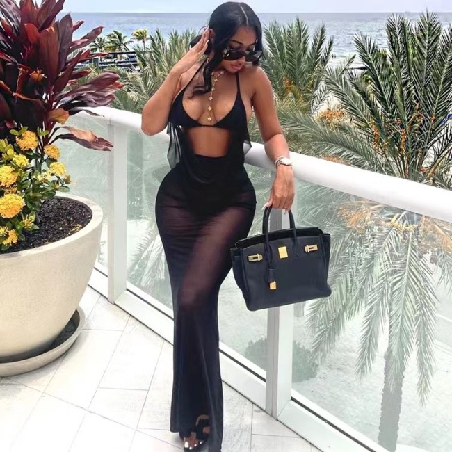 Bikini Bathing Suit Mesh Dress Set