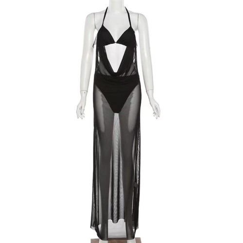 Bikini Bathing Suit Mesh Dress Set