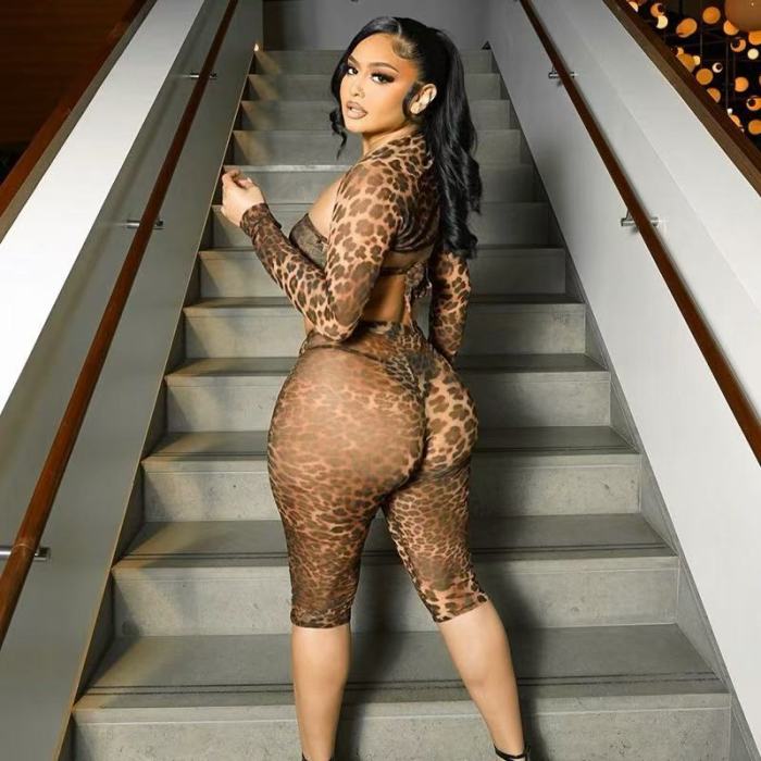 mesh leopard, mesh leopard print, leopard mesh pants