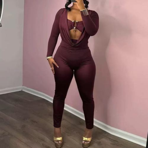 Burgundy Plunge Neck One Piece Jumpsuit
