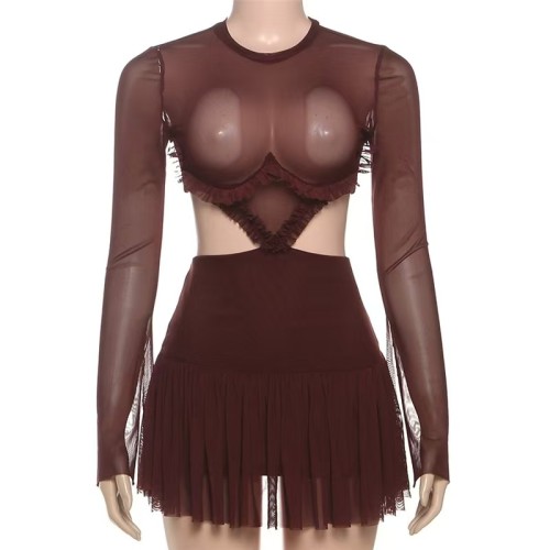 Brown Long Sleeve Mesh Mini Dress