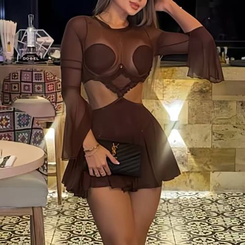 Brown Long Sleeve Mesh Mini Dress