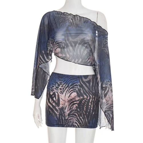 Mesh Crop Top 2 Piece Mini Skirt Set 