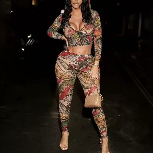 Floral Print Mesh Crop Top With Pants Set 