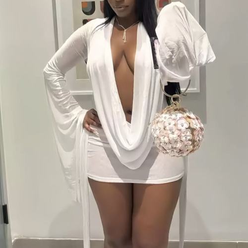 Sexy Deep V Mesh Mini Dress