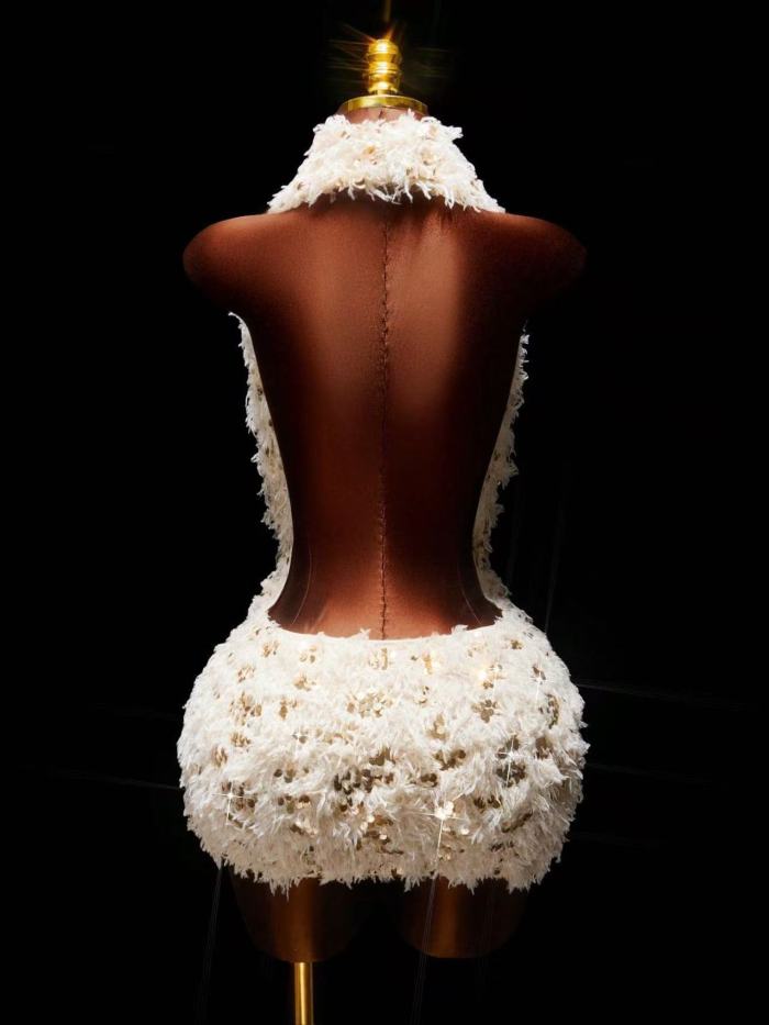 Sequins Plunge Neck Fur Dress 