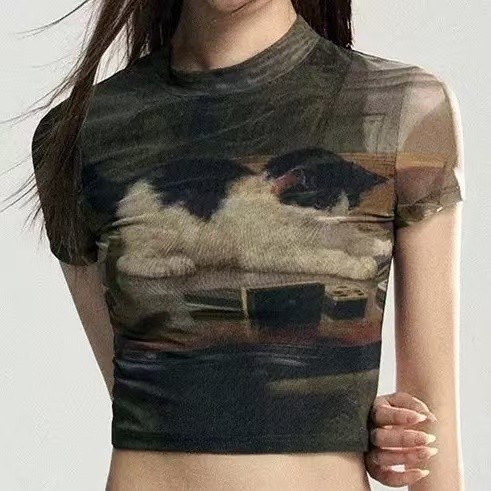 Brown Mesh Crop Top 