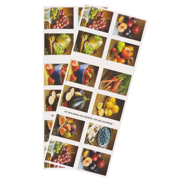 Fruit and Vegetables, 100 Pcs