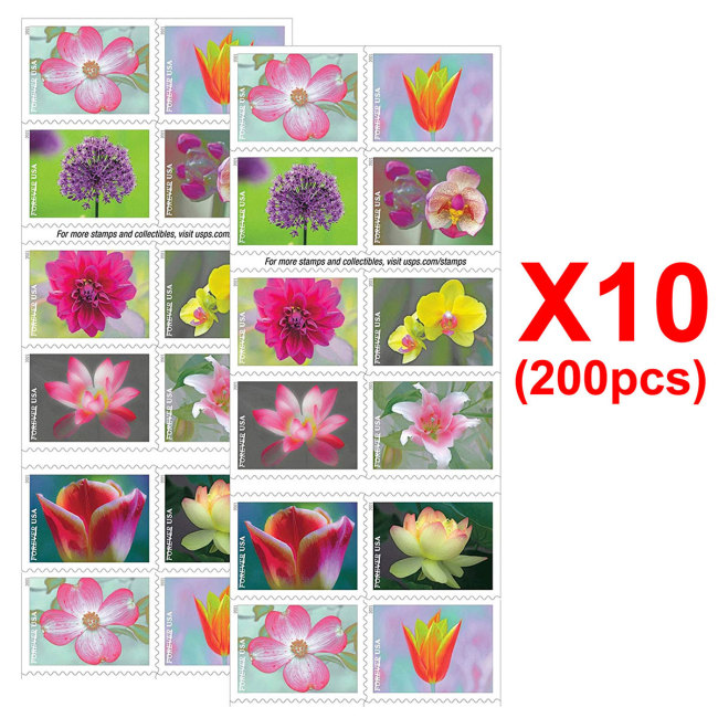 Garden Beauty 2021, 200 Pcs