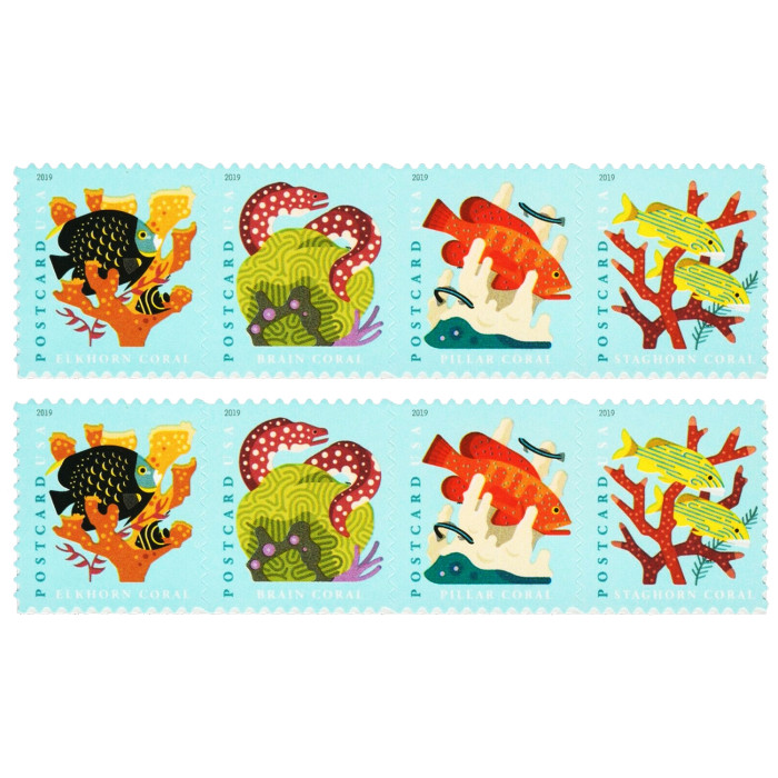 Coral Reefs Postcard 2019