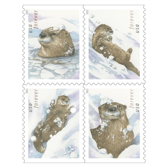 Otters In Snow  100 Pcs