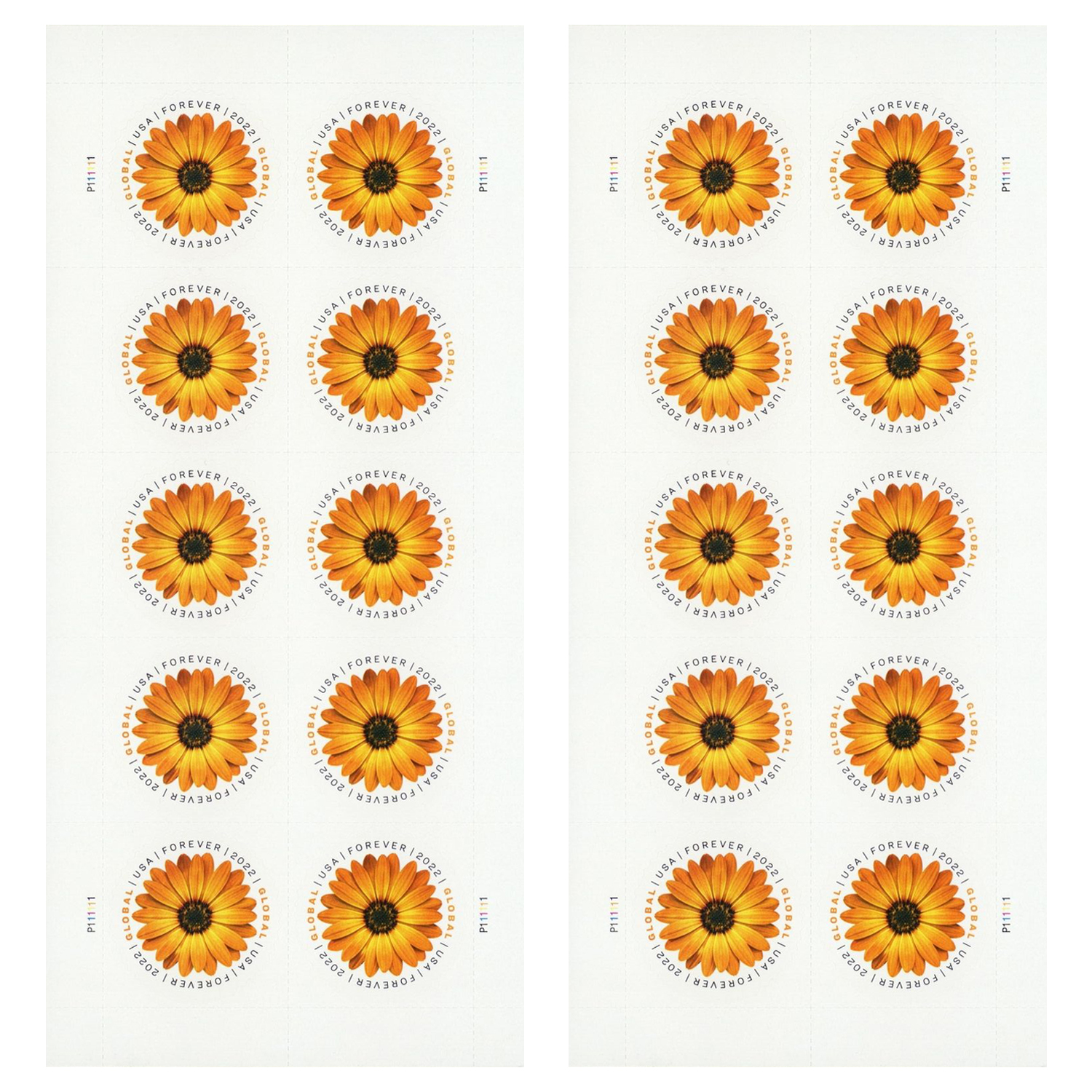 AFRICAN DAISY US #5676 FIRST CLASS 10 MVF GLOBAL FOREVER STAMPS FLOWERING  NATURE