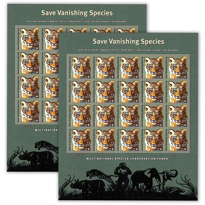 Save Vanishing Species Amur Tiger, 100 Pcs