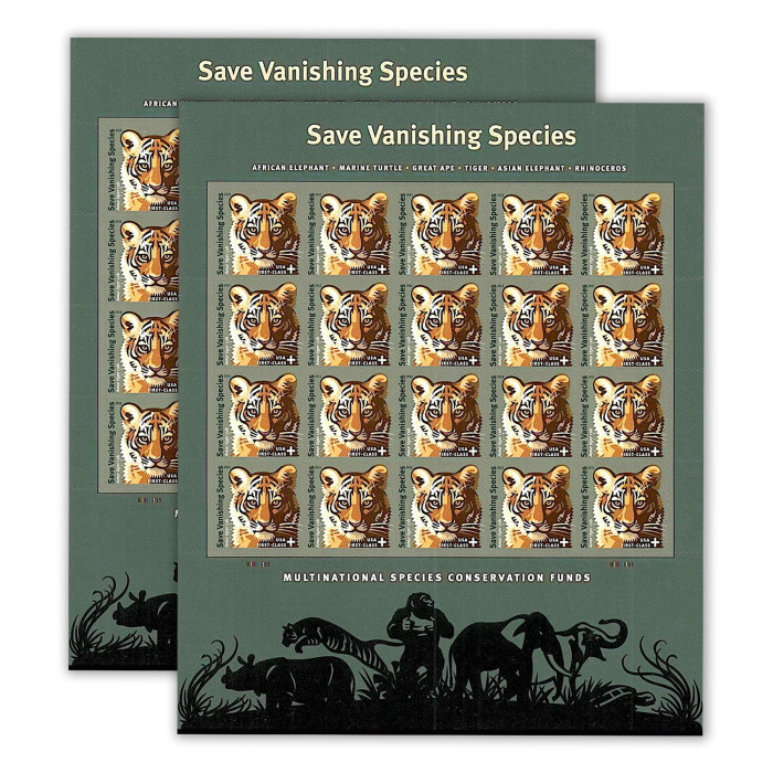 Save Vanishing Species Amur Tiger, 100 Pcs