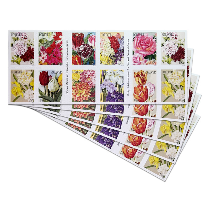 Botanical Art, 100 Pcs