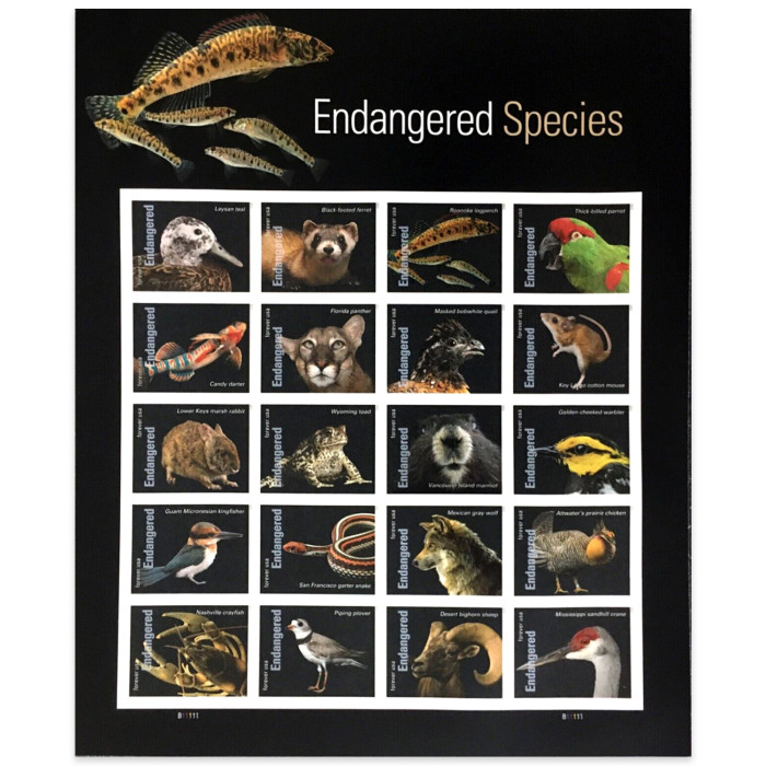 Endangered Species, 100 Pcs