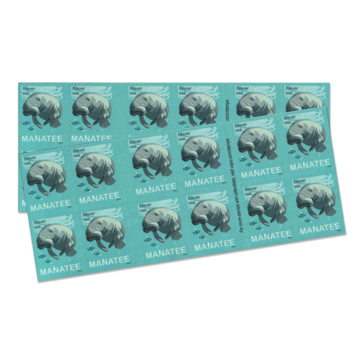 Save Manatees, 100 Pcs