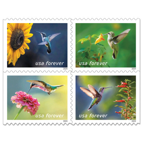 Garden Delights, 100 Pcs