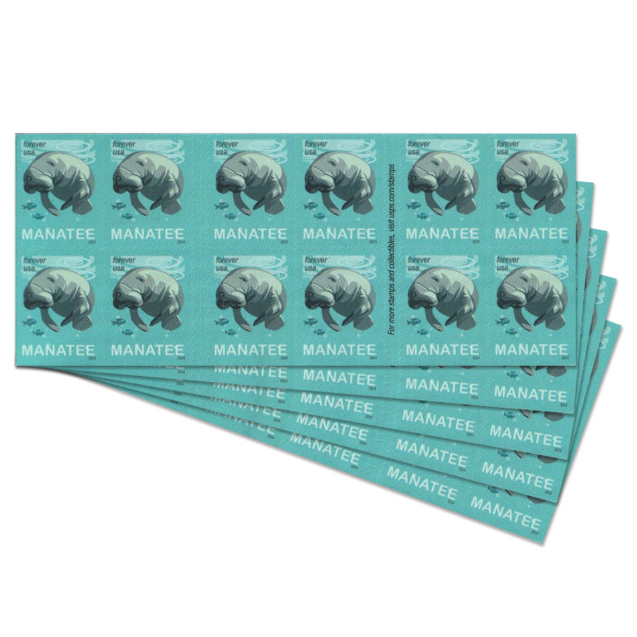 Save Manatees, 100 Pcs