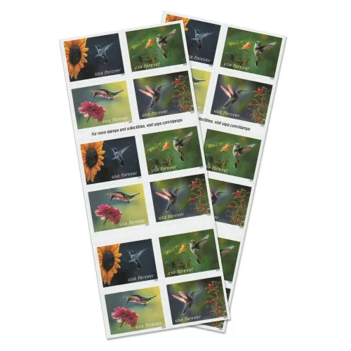 Garden Delights, 100 Pcs