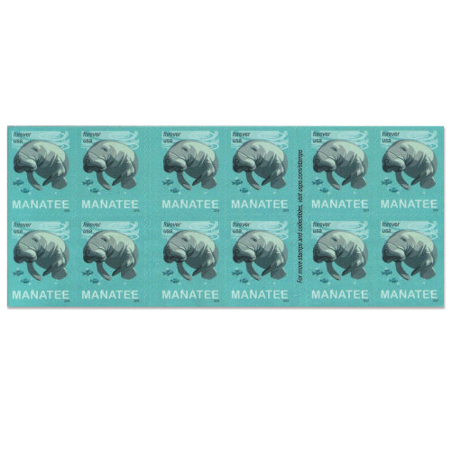 Save Manatees, 100 Pcs