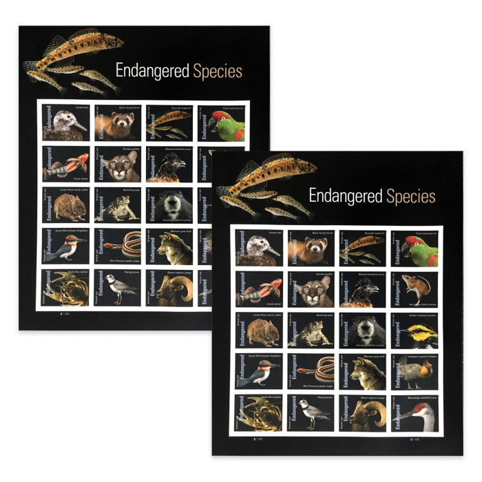 Endangered Species