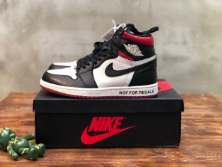 Nike  Air Jordan 1 High OG snakers