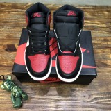 Nike  Air Jordan 1 High OG snakers