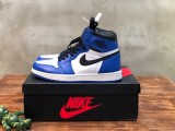 Nike  Air Jordan 1 High OG snakers