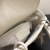 DIOR Womens Bags Shoulder Messenger Bags Luxury Cross Body Handbag Calfskin leather with naOrigil Box 3360