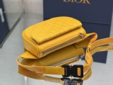 Dior Women's Bag Shoulder Crossbody Luxury Crossbody Handbag Calfskin w/ naOriginil Box