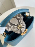 Louis Vuitton Women's Bag Shoulder Crossbody Luxury Crossbody Handbag Calfskin w/ naOriginil Box