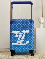 Louis Vuitton luggage