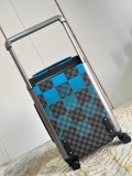 Louis Vuitton luggage