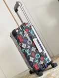 Louis Vuitton luggage