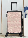 Dior luggage