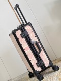 Dior luggage