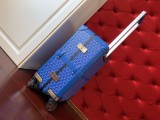 Goyard luggage